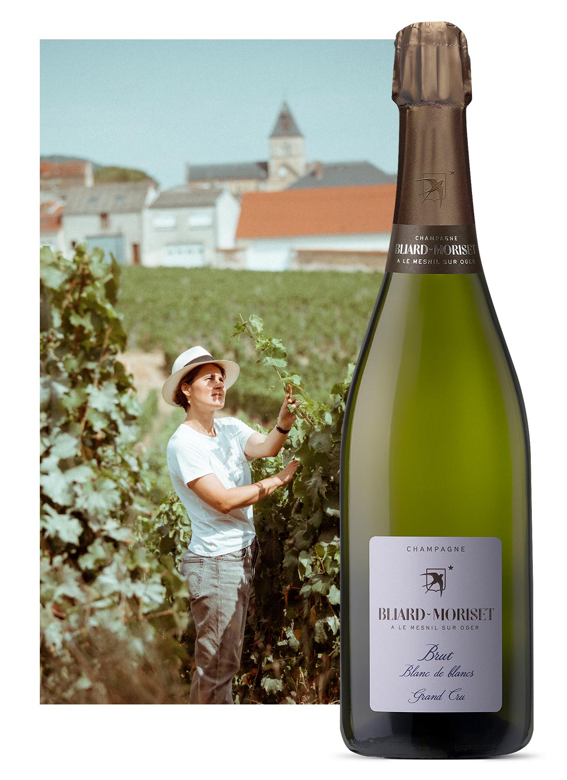 bouteille-brut-blanc-de-blancs-champagne